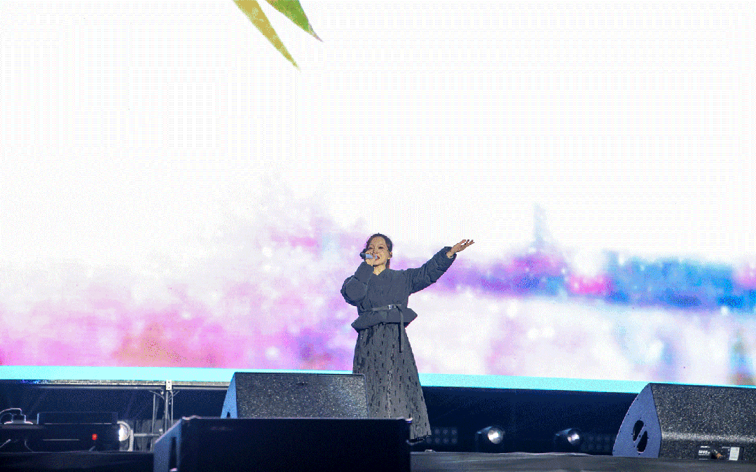 平陽體育中心群星演唱會！超萬人圍觀，現場火爆High唱！